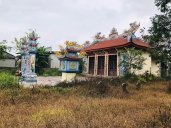 IMG_6239.jpeg